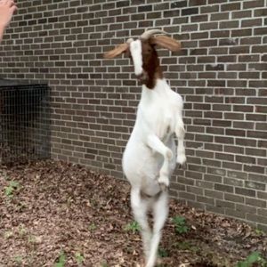 Meet your Posher, Madison